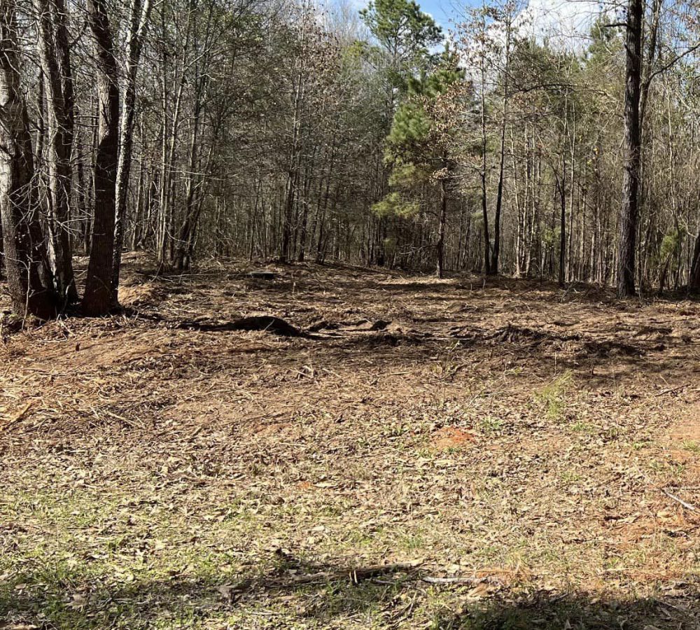 land clearing services in long view, tx