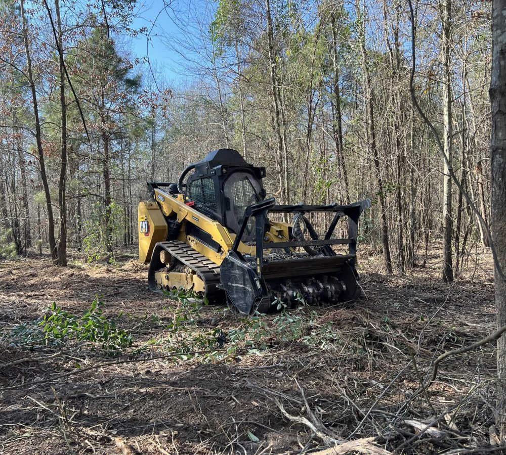 forestry mulching services be provided in longview, tx